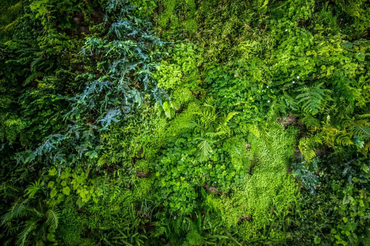 Artificial Green Walls